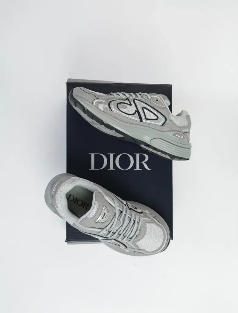 Dior B30 Gris